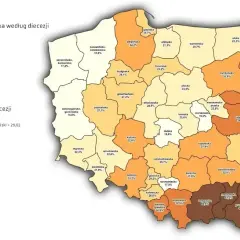 Czy coraz mniej ludzi chodzi do kościoła? Statystyki i trendy frekwencji w Polsce