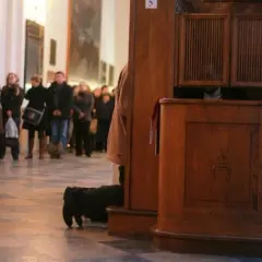 Jakie grzechy odpuszcza spowiedź powszechna i dlaczego to ważne?