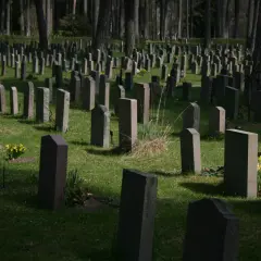 Ile kosztuje miejsce na cmentarzu na Wólce Węglowej? Ceny i opcje