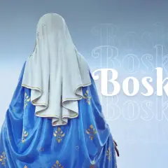 Posąg świętej Marii od tyłu, w niebieskiej szacie ze złotymi zdobieniami. Obok napis "Boska?".