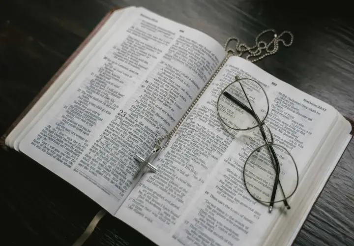Otwarta Biblia, krzyż na łańcuszku i okulary. Może to symbolizować św. Brygidę, jej modlitwę i 12-letnie objawienia.