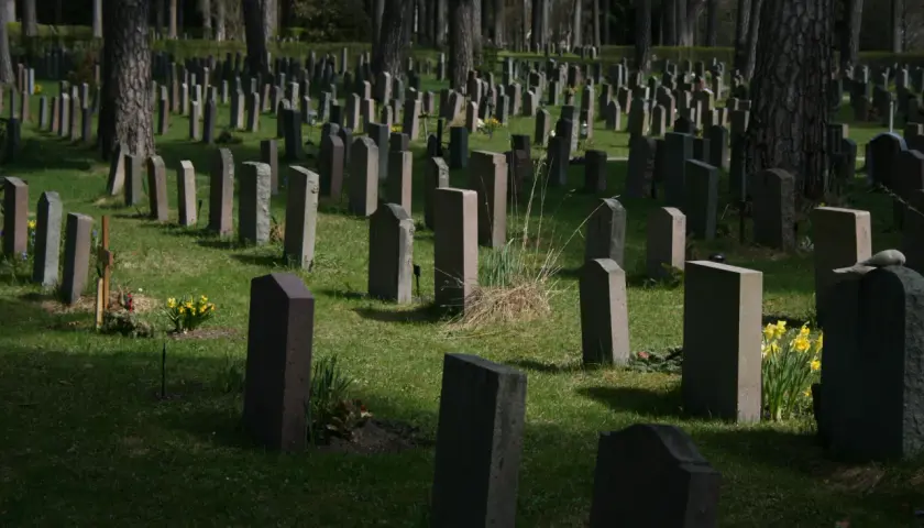 Ile kosztuje miejsce na cmentarzu na Wólce Węglowej? Ceny i opcje