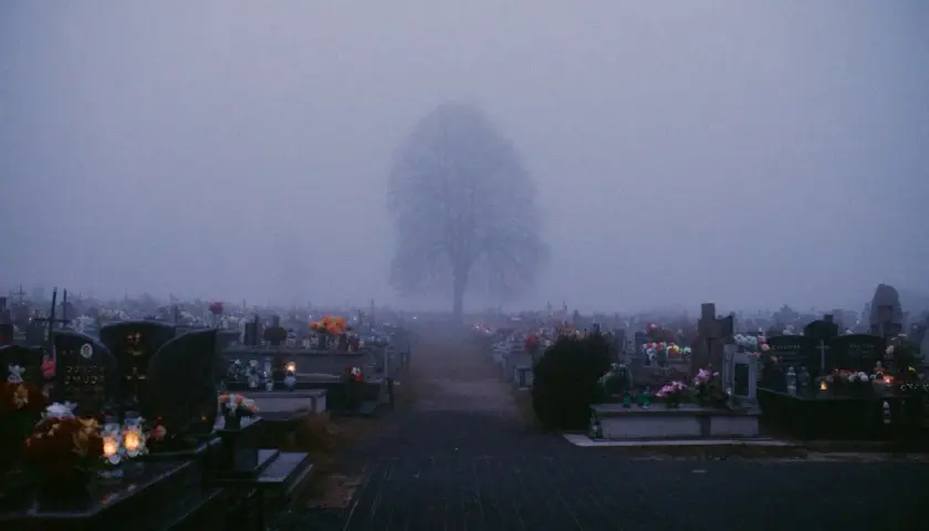Ile kosztuje miejsce na cmentarzu w Poznaniu? Ceny i opcje grobów
