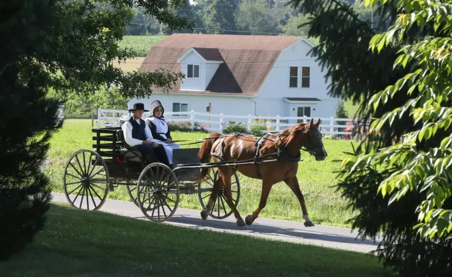 Amisze - Czy to tylko skansen? Odkryj ich prawdziwy świat!