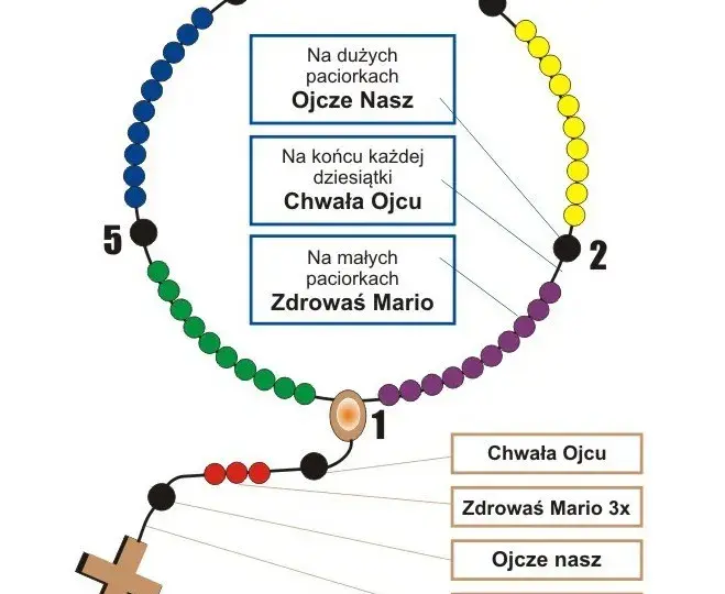 Kiedy zaczyna się różaniec w kościele? Sprawdź godziny i harmonogram modlitwy