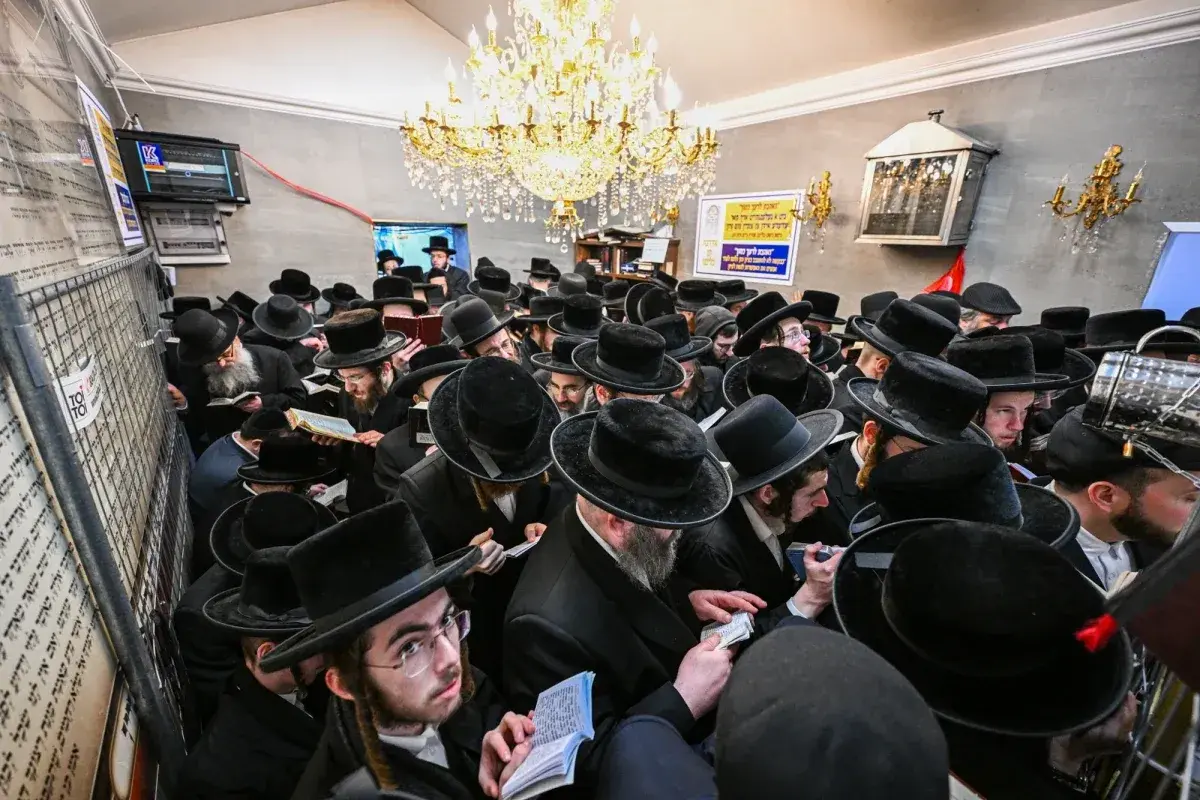 Tłum chasydów w czarnych kapeluszach i płaszczach, skupionych nad księgami, w sali ozdobionej żyrandolem.