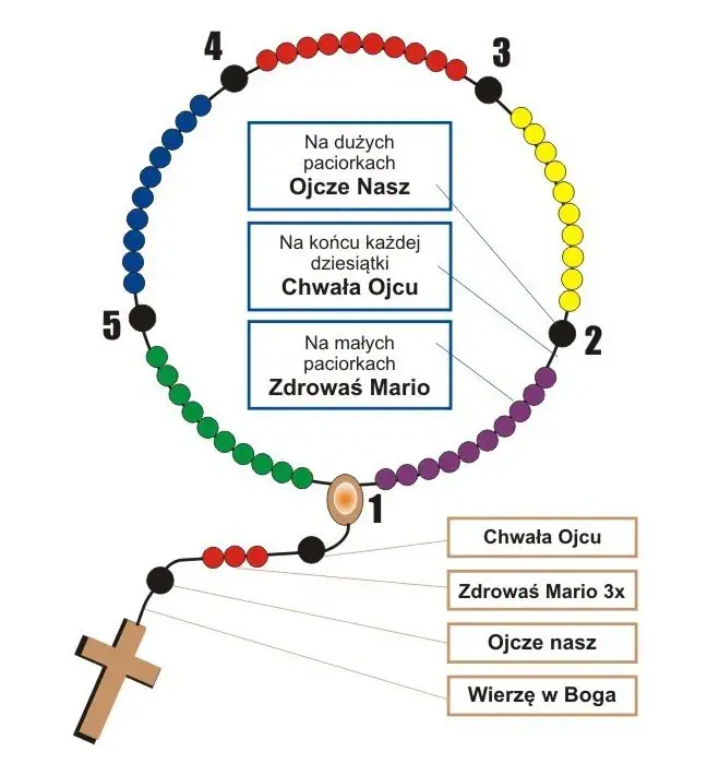 Kiedy zaczyna się różaniec w kościele? Sprawdź godziny i harmonogram modlitwy